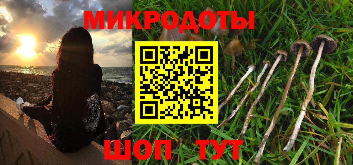 Галлюциногенные грибы Psilocybe  Вход с VPN  Псилоцибиновые грибы Magic Shrooms  Заводоуковск 