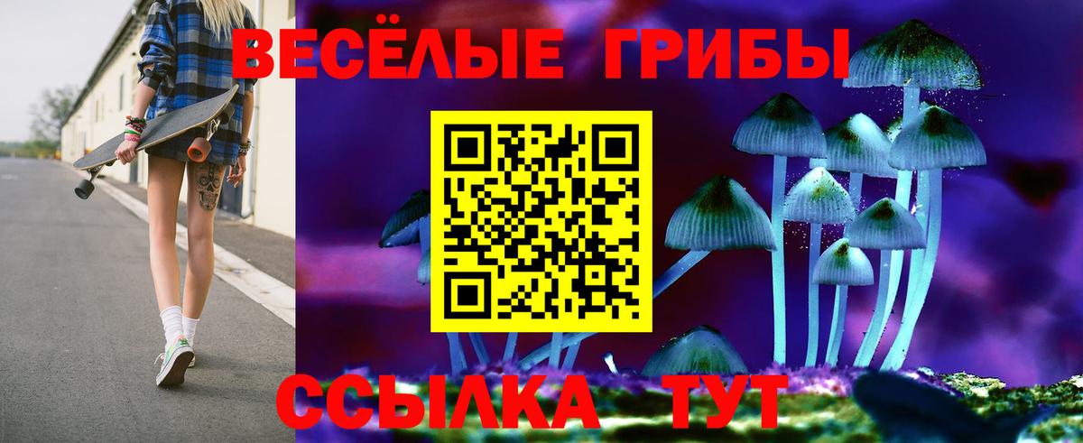 Каннабис  Заводоуковск  Вход с VPN  ГАШИШ  МЕФ кристаллы  ГАШИШ  Cocaine 
