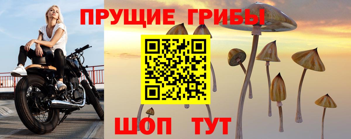 Псилоцибиновые грибы GOLDEN TEACHER Заводоуковск